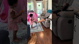 Willow Is Playing With Pop Pop, And A Look At The New Gr