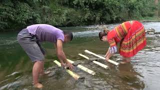 Create wonderful fish trap from hollow banana tree tube - Simple way catch a lot of catfish