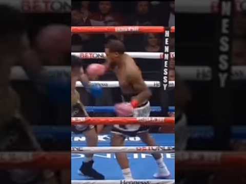 Boxing Predictions May