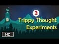 Trippy Thought Experiments Quiz