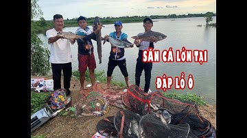 Câu Đài Tự Nhiên | Chuyến Du Câu Săn Cá Khủng Cùng Team B52 Tại Đập Lồ Ô | Bà Rịa Vũng Tàu