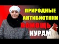 Природные антибиотики. Помощь курам в холодное время года.