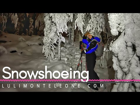 Snowshoeing na Lapônia, Finlândia!
