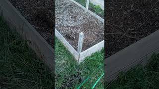 Inexpensive Garden Beds #FarmTipFriday #farmtips #gardenbeds by Sprague River Homestead 152 views 2 weeks ago 1 minute, 4 seconds