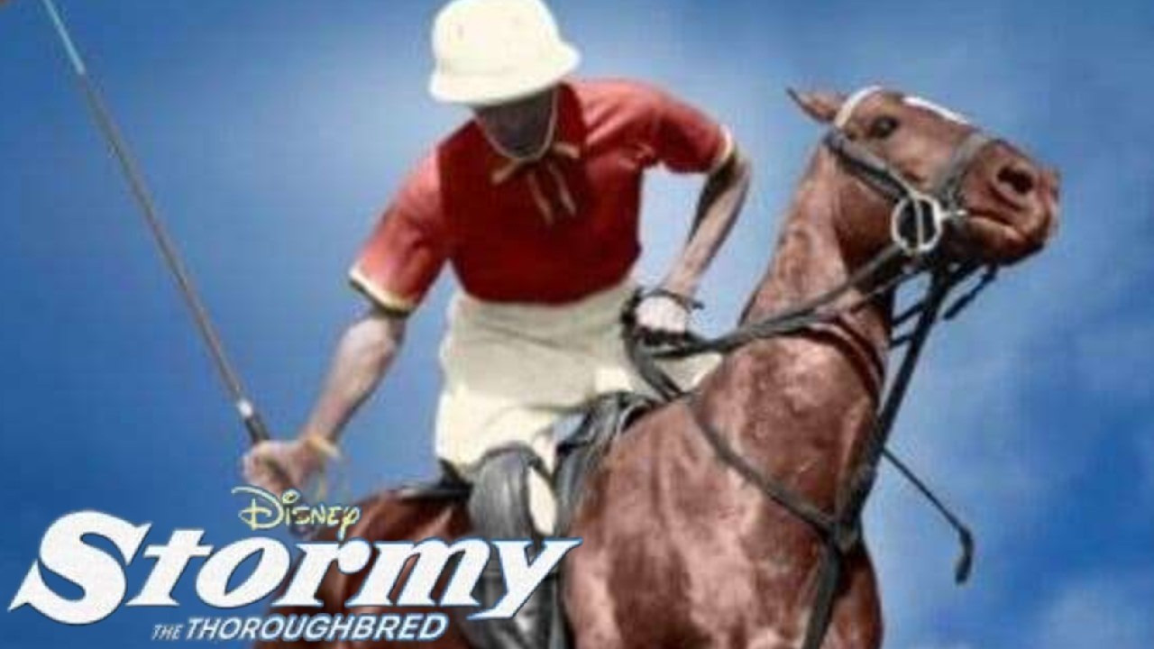 Stormy, the Thoroughbred 1954 Disney Horse Film | George Fenneman | Larry Lansburgh | Disney Review