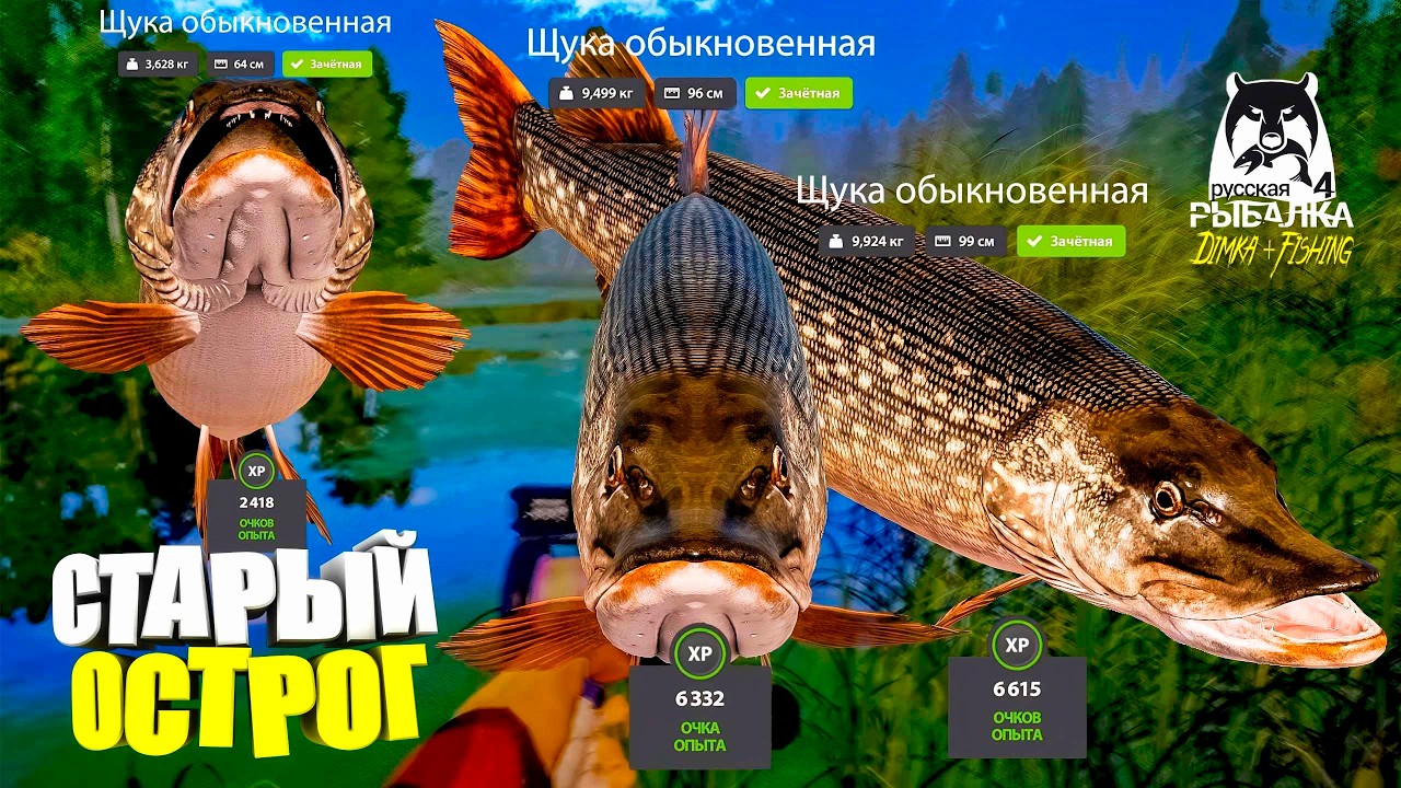 Русская рыбалка 4.🎣🦈 оз. Старый Острог 🐬🐬🐬💦 от LATORSO 👀