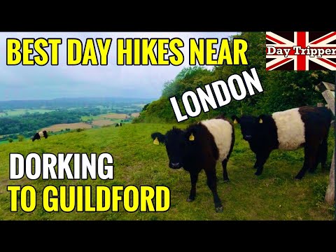 Best Day Hikes Near London- Dorking to Guildford North Downs Way| Day Tripper Vlog #37
