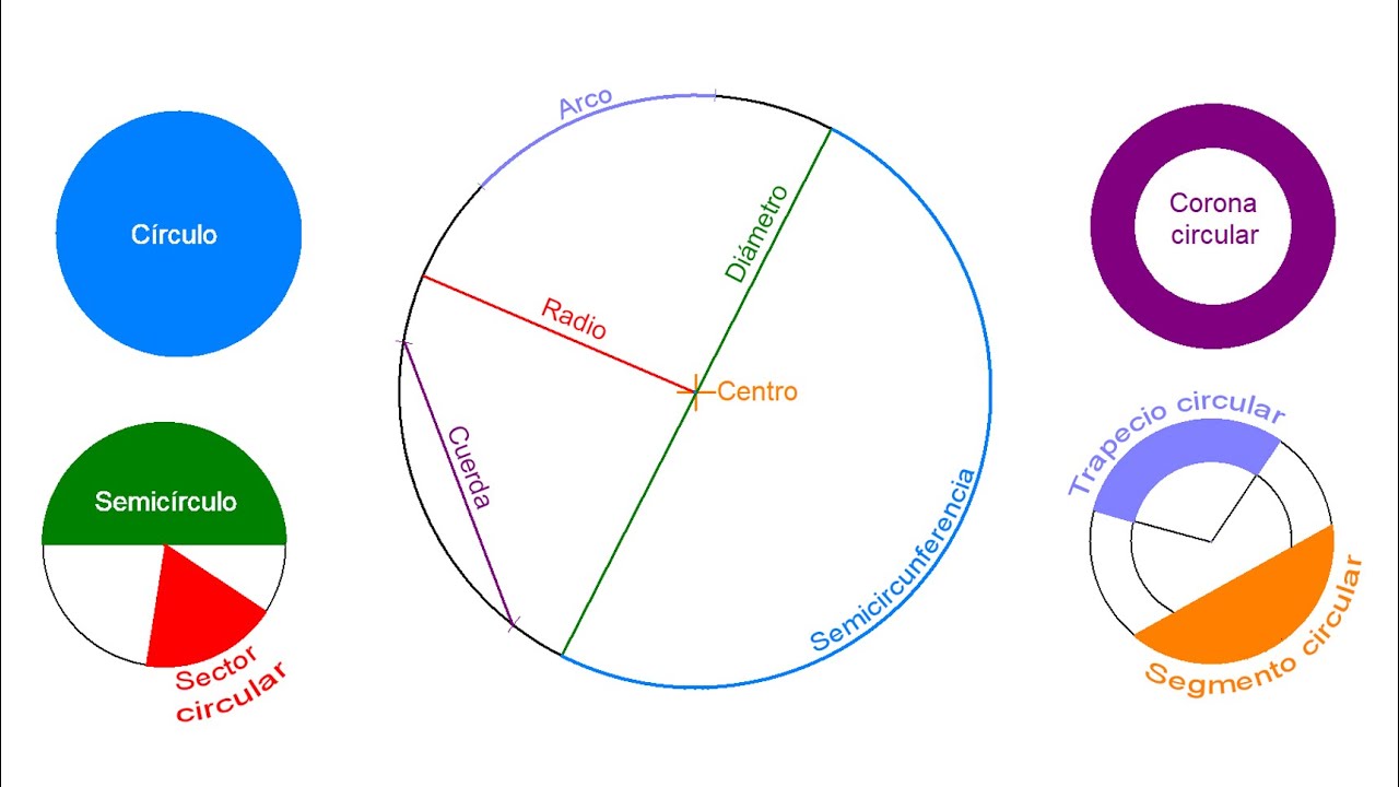 Diferencia entre círculo y circunferencia