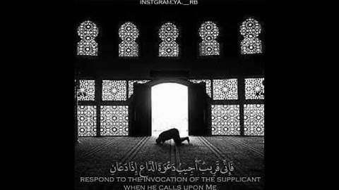 القران الكريم مقاطع انستقرام