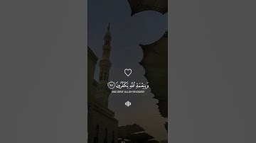 ارح سمعك مع اجمل تلاوة🤍🎧 للقارئ #عبدالرحمن_مسعد #قرآن_کریم #quran #تلاوة_هادئة #أرح_سمعك