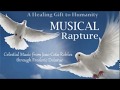 Musical Rapture ~ a healing gift for humanity ~ Frederic Delarue channeling Joao Cota-Robles