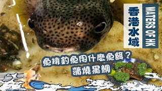 漁人推介 香港水域 漁排釣魚用什麼魚餌比較好 阿火帶大家上漁排研究一下 和大家一起煮蒲燒黑鯛 黑立 黑沙 海鮮 食譜 Catch And Cook Seafood Fish Recipe Youtube
