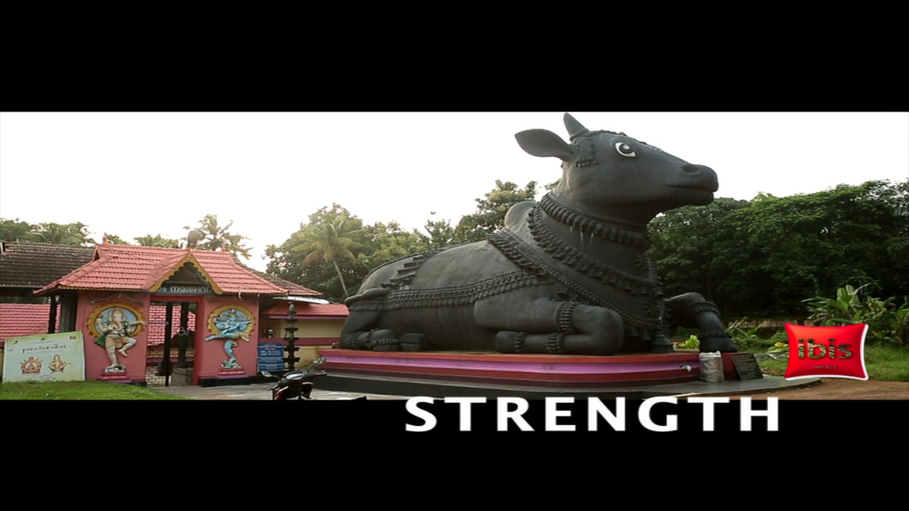 10 best places to visit in Kochi in 2 Days - Extended - YouTube