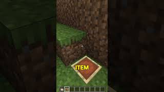 Perbedaan Kecil, Tapi Penting! Item Frame Bedrock vs Java😱‼️ #shorts #minecraft