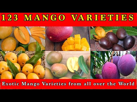 123 Mango Varieties