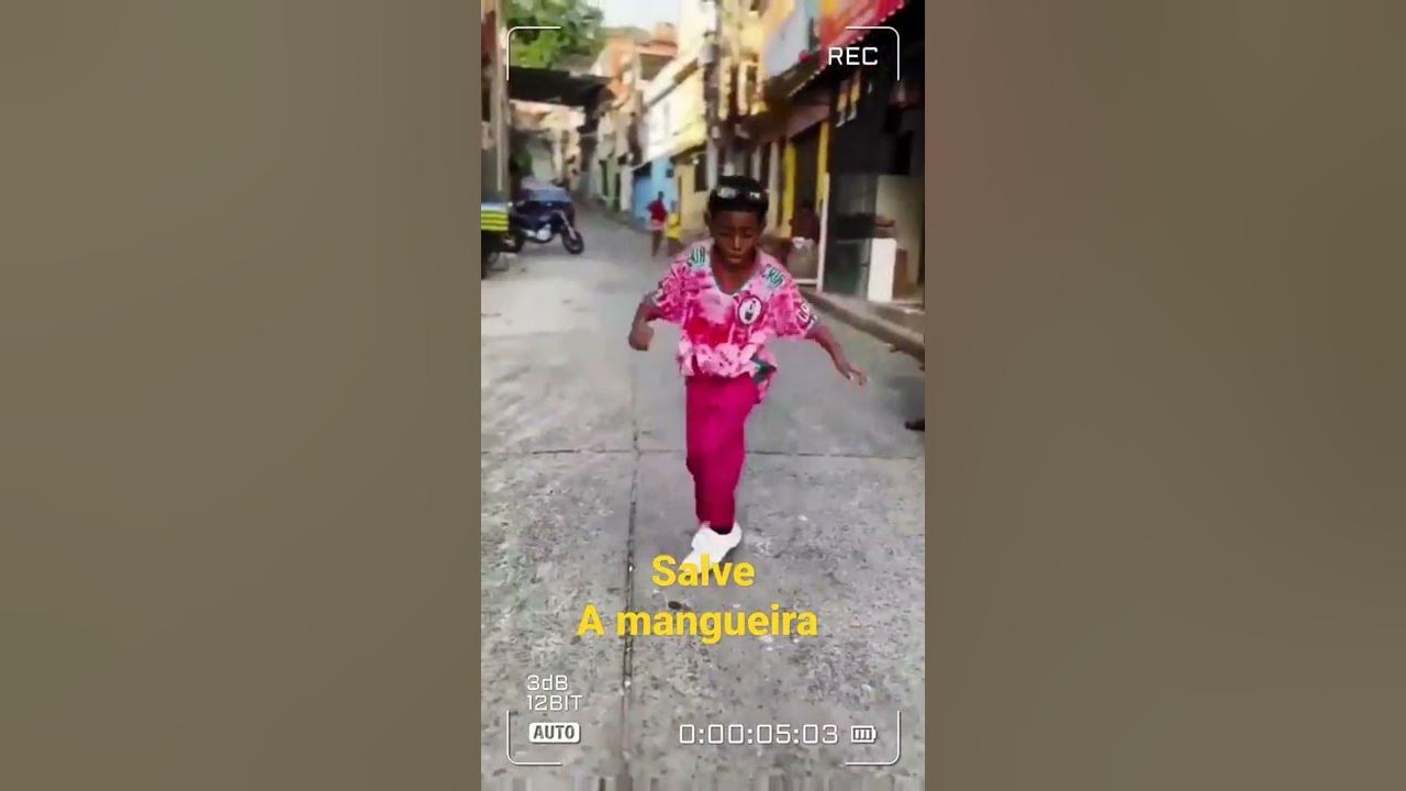 MANGUEIRA FÁBRICA DE SAMBISTAS