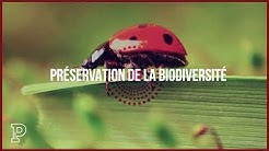 Ecole D Ingenieurs De Purpan Youtube