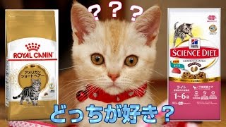 【猫 ごはん】ROYAL CANIN VS SCIENCE DIET  ロイヤルカナン対サイエンスダイエット うまいのどっち？