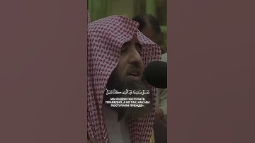 سورة فاطر _ محمد اللحيدان