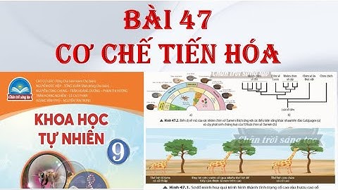 Khoa học tự nhiên 9 - CTST - BÀI 47. CƠ CHẾ TIẾN HÓA.
