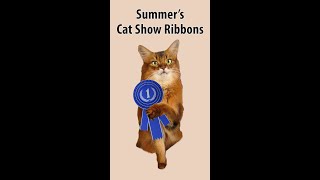 Summer Was A Show Cat, And Cat Show Compeion Winner - Here Are Her Ribbons