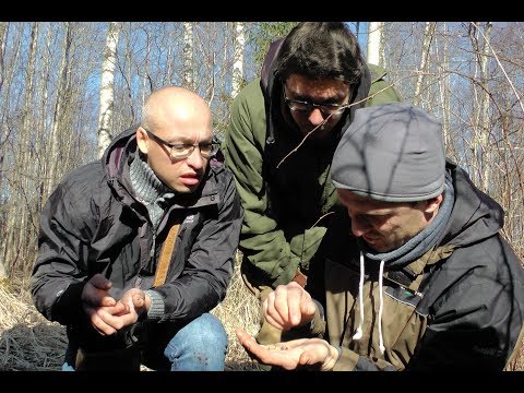 Video: Pokainos Miškas. Gamtos Paslaptys Pokaine, Latvijoje - Alternatyvus Vaizdas