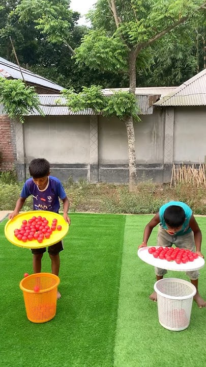 The challenge of shaking the branches and throwing the ball into the