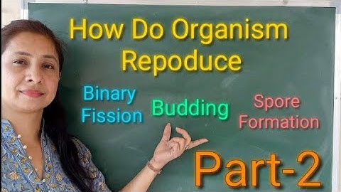 Asexual reproduction/How Do Organism Reproduce (Part-2)//Science By Pragya Ma