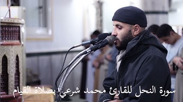 سورة النحل    مسجلة بصلاة القيام للقارئ محمد شرعي