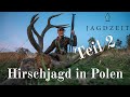 Jagdzeit - Hirschjagd in Polen Teil 2