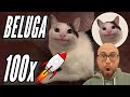 Beluga cat on solana  explosive price action  100x nano cap gem  community takeover update 