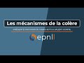 Gestion des émotions - Les mécanismes de la colère