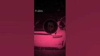 Zorro do Asfalto | Slowed & Reverb