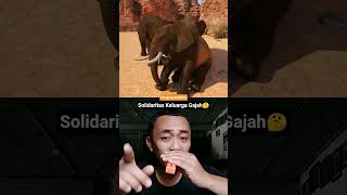 Solidaritas Keluarga Gajah🤔