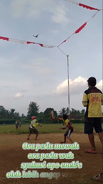 Story wa burung merpati