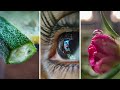 25 MACRO Photography IDEAS at Home 🔥 GIVEAWAY 🔥 Macro Photography With Mobile | Photo Walker