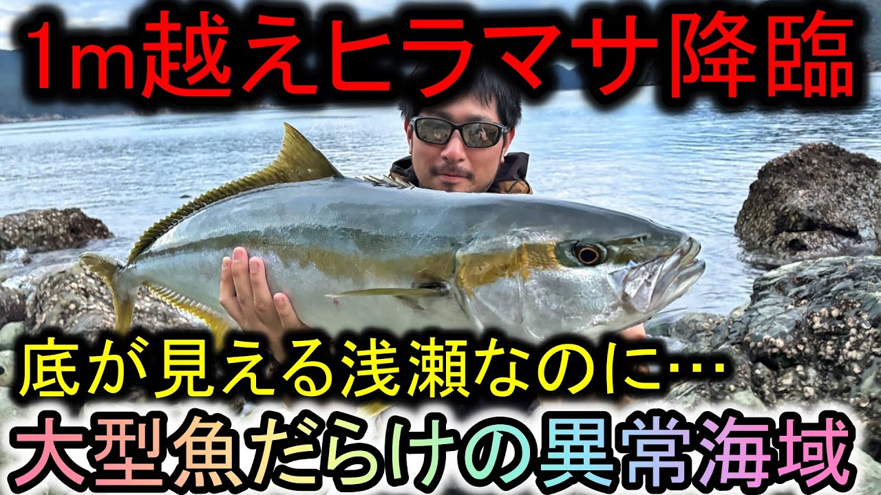 １ｍ越えヒラマサや大型ブリが爆発する浅瀬…山奥の異常海域で釣りをした一部始終