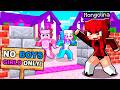 I Sneaked Into GIRLS ONLY SERVER In Minecraft!