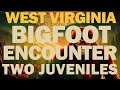 I encountered two juvenile bigfoot in west virginia they swung from the trees