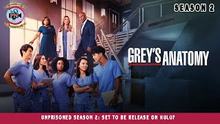 Grey's Anatomy Season 21: Is It Renewed Or Not? - Premiere Next