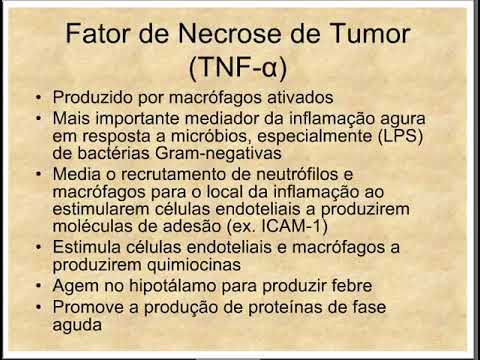 Vídeo: Lúpus Eritematoso Sistêmico Induzido Pela Terapia Alfa De Fator De Necrose Tumoral Antitumoral: Uma Pesquisa Nacional Francesa