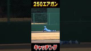 250キロエアーガンキャッチ！ #野球