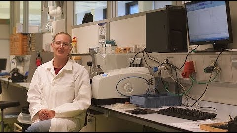 ARC CBBC - Linda Eijsink