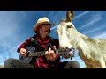 Serenaded Hazel the donkey wants her holiday song all year long. She won’t have a Blue Christmas