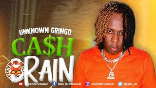 Unknown Gringo - Cash Brain [Audio Visualizer]