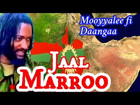 Gaaffii Fi Deebii Jaal Marroo Dirribaa Daangaa OROMIYAA Fi Haala Yeroo Irratti