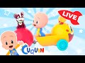 🔴 LIVE 🔴 Learn colors, numbers and shapes with Cuquín | Educational videos for kids