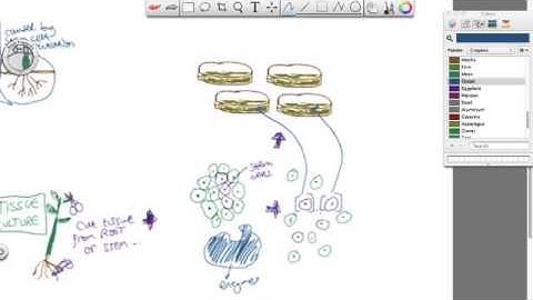 OCR 21C REVISION: B5 in under 20 minutes