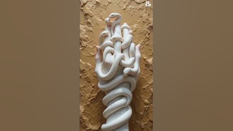 "Hand to Snake Transformation 🐍🖐️ | Unreal AI Art!