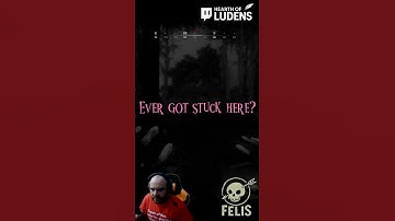 Ever seen this bug? hunt:showdown #huntshowdown #huntgameplay #bugs #glitches #glitch #gaming #hunt